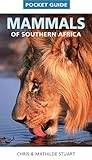 Pocket Guide Mammals Of Southern Africa Struik Nature English Edition