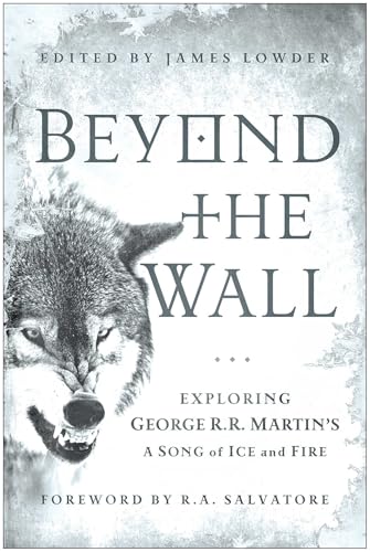 Beyond the Wall book cover