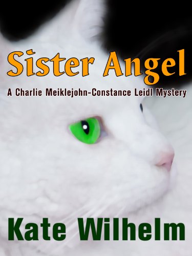 Sister Angel book cover