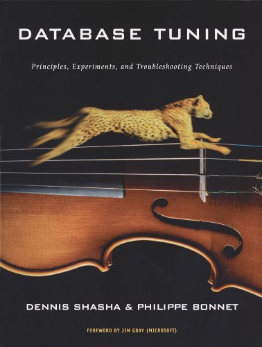Database Tuning book cover