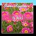 Song Whenever We Are by Minnie Riperton on Ten Best at Amazon