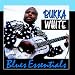 Song Pinebluff Arkansas by Bukka White on Blues Essentials at Amazon