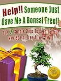 Help Someone Just Gave Me A Bonsai Tree The 7 Simple Steps To Keeping Your New Bonsai Tree Alive Well Bonsai For Beginners Book 1 English Edition