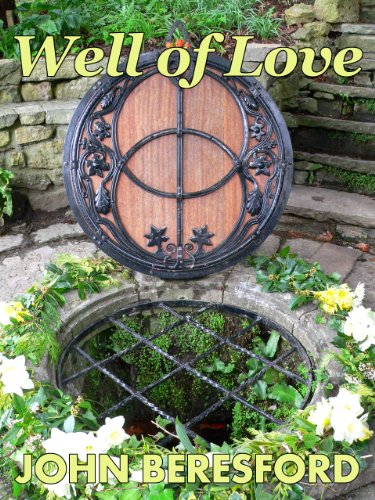 Well of Love book cover