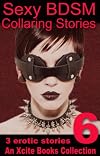 Sexy BDSM Collaring Stories - Volume Six - An Xcite Books Collection