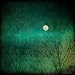 Song This Vanishing World by Tom Caufield on It Happens to Eve at Amazon