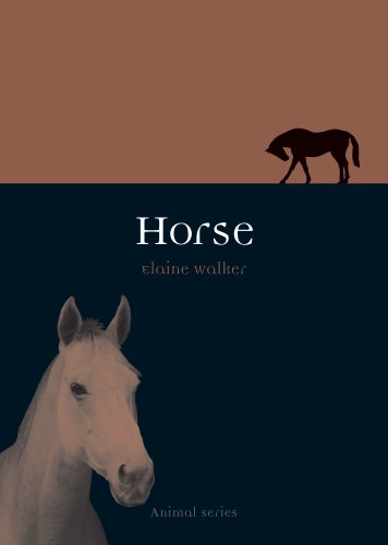 Horse book cover