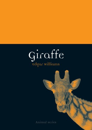 Giraffe (By: Edgar Williams) cover