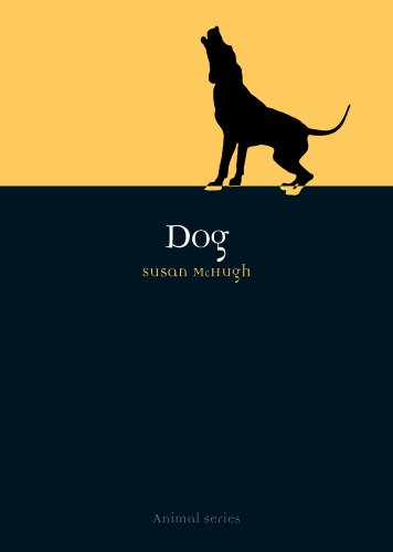 Dog book cover