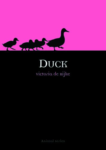 Duck (By: Victoria de Rijke) cover