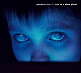 Fear Of A Blank Planet (2007)