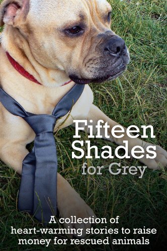 Fifteen Shades for Grey book cover