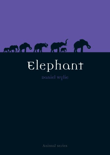 Elephant book cover