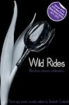 Wild Rides - Three erotic gay novellas