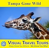 Tampa Gone Wild A Selfguided Pictorial Sightseeing Tour Tours4mobile Visual Travel Tours Book 252