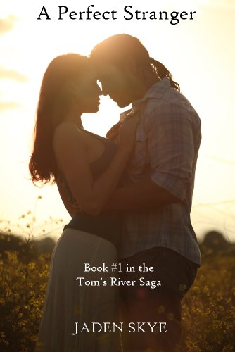 A Perfect Stranger book cover