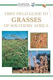First Field Guide To Grasses Of Southern Africa English Edition