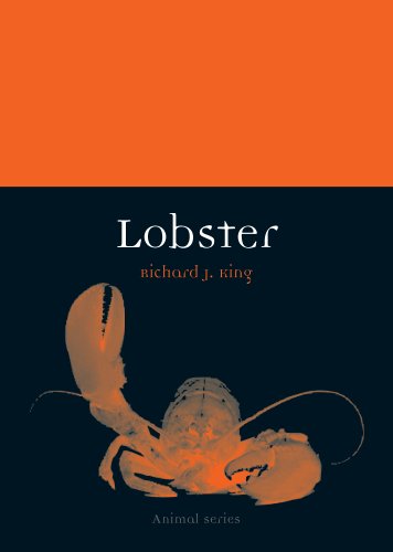 Lobster book cover