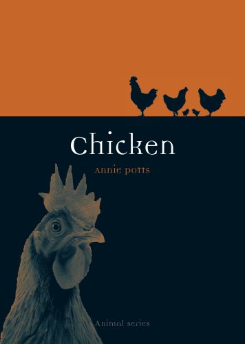 Chicken book cover