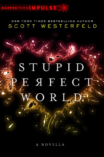 Stupid Perfect World book cover