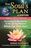Your Souls Plan Echapters Chapter 6 Death Of A Loved One Discovering The Real Meaning Of The Life You Planned Before You Were Born English Edition
