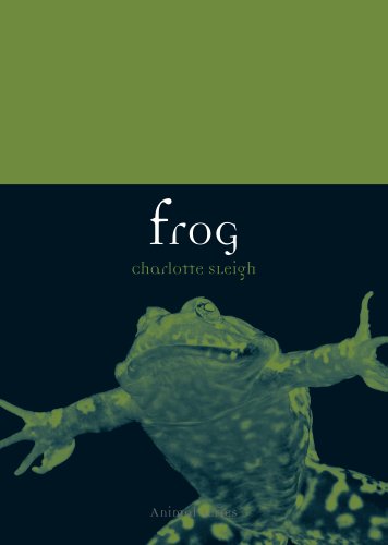 Frog book cover