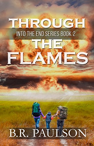 Through the Flames book cover
