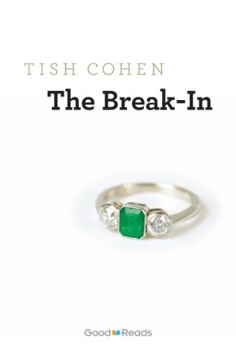 The Break-In book cover