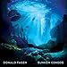 Song Out Of The Ghetto by Donald Fagen on Sunken Condos at Amazon