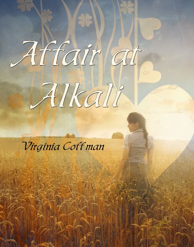 The Affair at Alkali book cover
