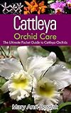 Cattleya Orchid Care The Ultimate Pocket Guide To Cattleya Orchids