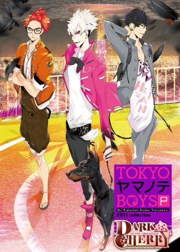 PSPのアドベンチャー・ゲーム人気投票 ~ プレイステーション・ポータブルADVランキング 424位 TOKYOヤマノテBOYS Portable DARK CHERRY DISCの画像