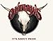 Song The Flame by The Outlaws on It's About Pride at Amazon