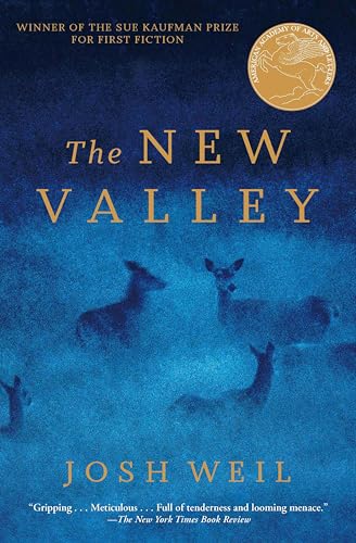 The New Valley book cover
