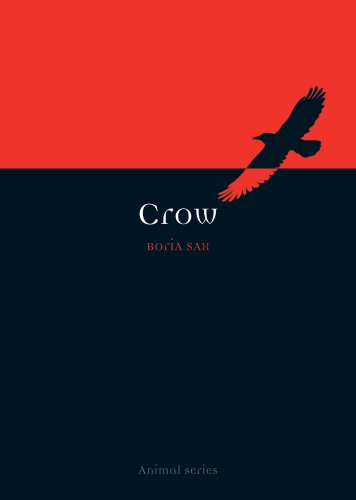 Crow book cover