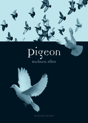Pigeon (By: Barbara Allen) cover