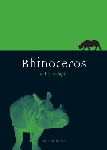 Rhinoceros (By: Kelly Enright) cover