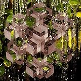 Moving On The Edges Of Things (2010)