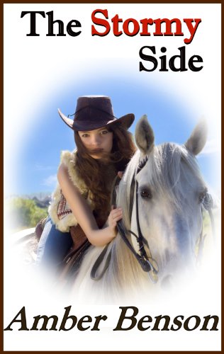 The Stormy Side book cover