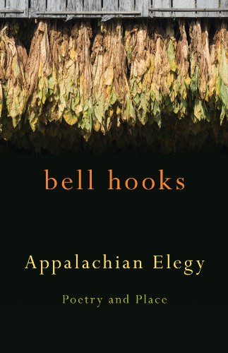 Appalachian Elegy: Poetry and Place book cover