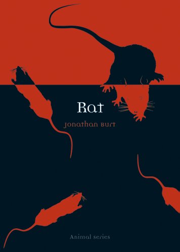 Rat (By: Jonathan Burt) cover
