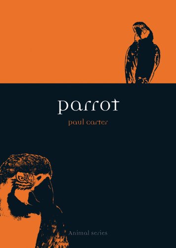 Parrot (By: Paul Carter) cover