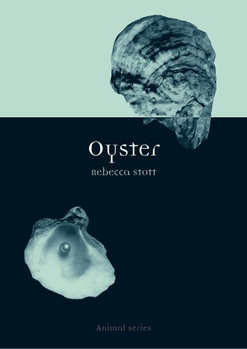 Oyster (By: Rebecca Stott) cover