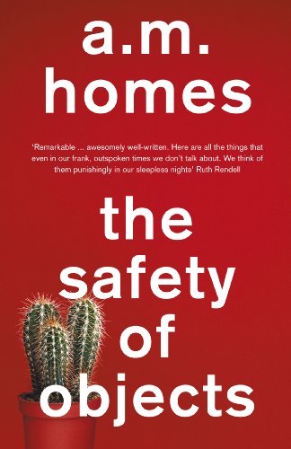The Safety of Objects book cover