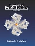 Introduction To Protein Structure English Edition
