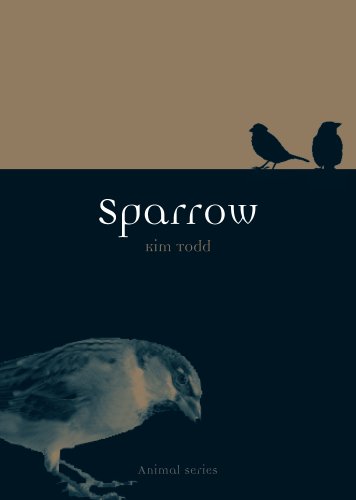 Sparrow (By: Kim Todd) cover
