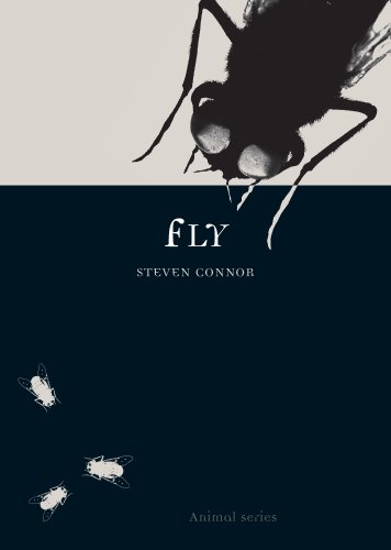 Fly book cover