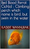 Red Blood Parrot Cichlid Climbing Perch Which Name Is Bird But Swim In The Water English Edition