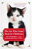 The Cat Who Came Back For Christmas How A Cat Brought A Family The Gift Of Love English Edition