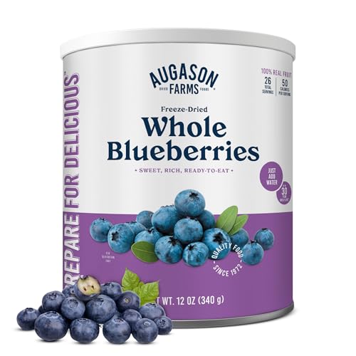 Augason Farms Dried Whole Blueberries Can – Dried Fruit for Baking & Emergency Food Supply – Dehydrated Camping Food with Long Shelf Life for Everyday Meal – 26 Servings